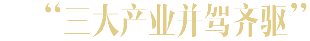 2017-2